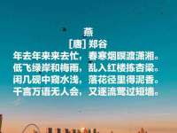 上海火狐网络科技有限公司